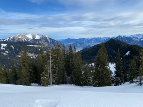 Schneeschuh-Abenteuer zum Jänzi